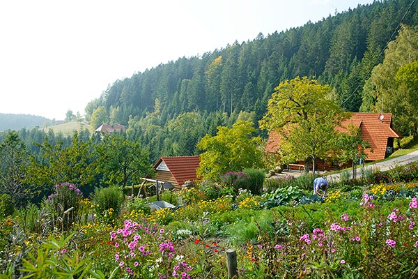 Der wunderschöne Bauerngarten