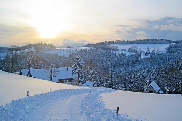 Winterlicher Sonnenuntergang auf dem Hanselehof