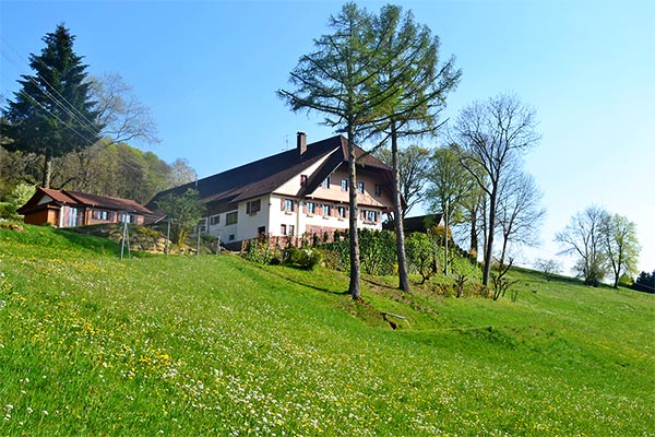 Frühling auf dem Hanselehof