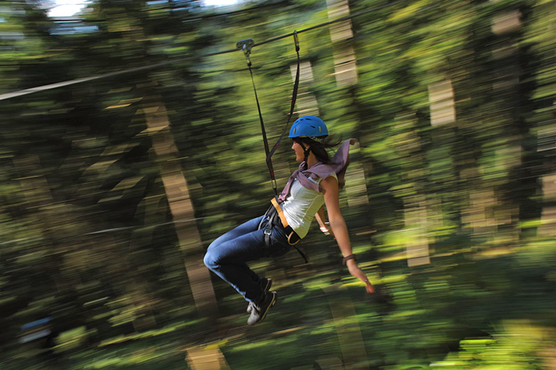 Hirschgrund-Zipline Area Schwarzwald