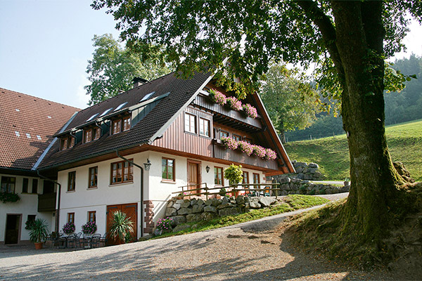 Ferienwohnung Königswald – Typ 1