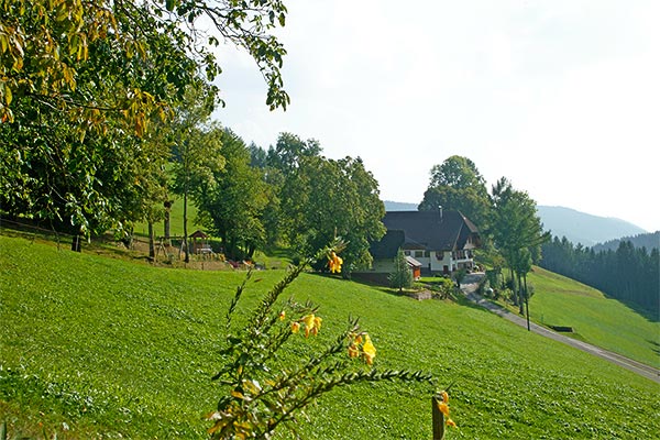 Frühling auf dem Hanselehof