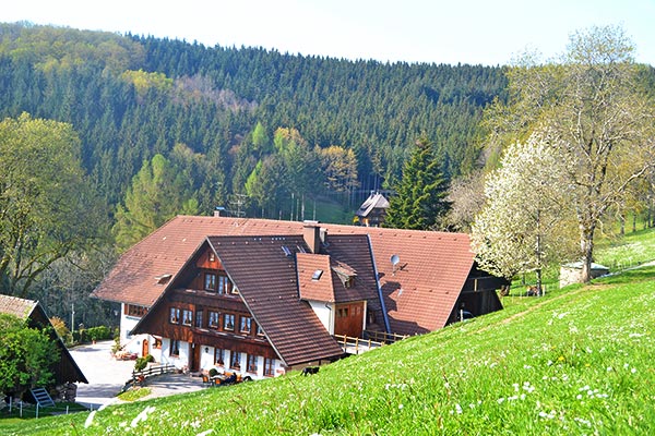 Frühling auf dem Hanselehof