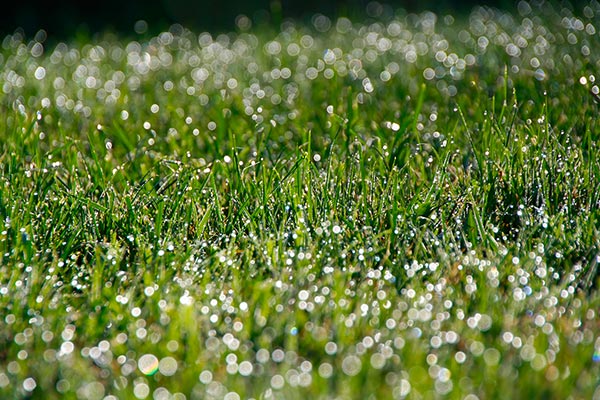 Frühling auf dem Hanselehof