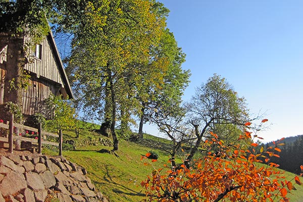 Herbst auf dem Hanselehof