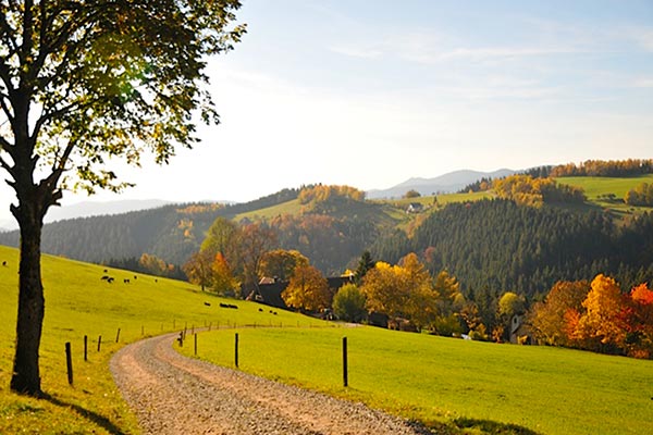 Herbst auf dem Hanselehof