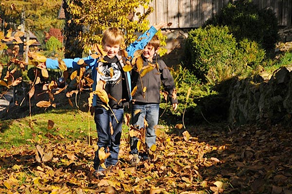 Herbst auf dem Hanselehof