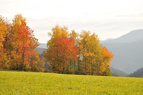 Herbst auf dem Hanselehof