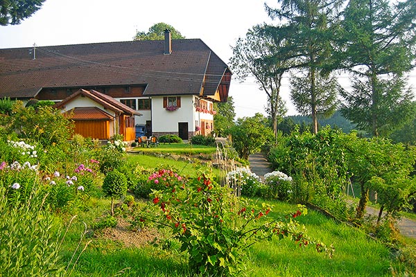 Sommer auf dem Hanselehof