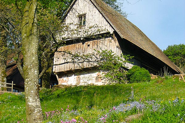 Sommer auf dem Hanselehof