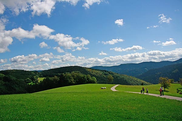 Sommer auf dem Hanselehof