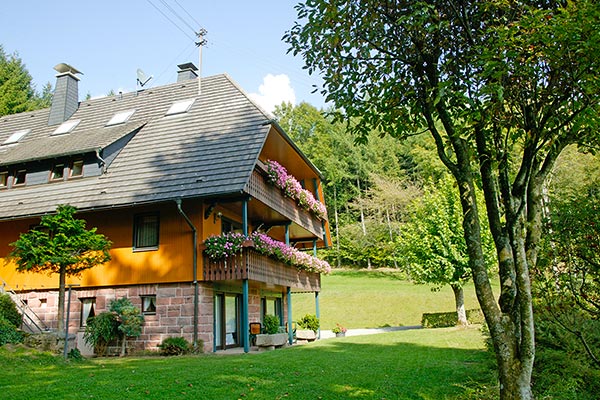 Sommer auf dem Hanselehof