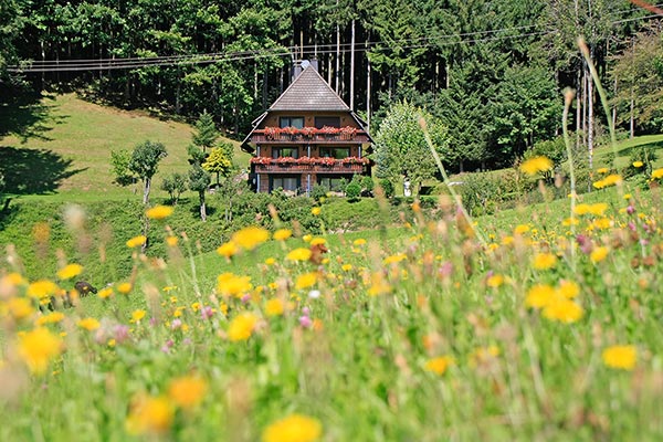 Sommer auf dem Hanselehof