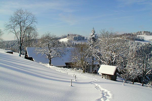Winter auf dem Hanselehof