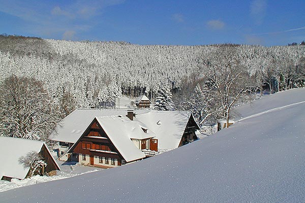 Winter auf dem Hanselehof