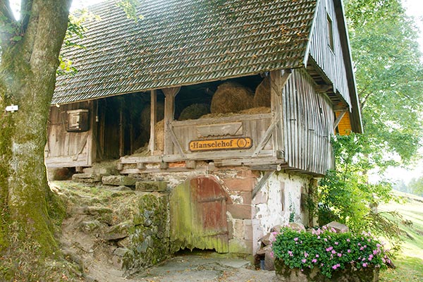 Erlebnis in der Heuburg