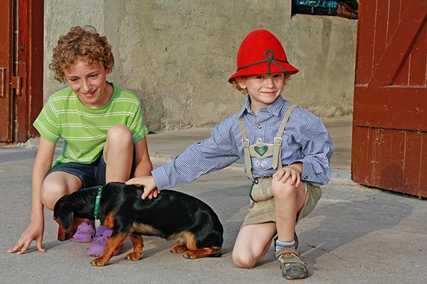 Unsere Hunde freuen sich über Streicheleinheiten