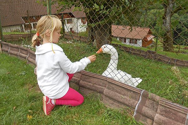 Auch die Gänse freuen sich über Beschäftigung