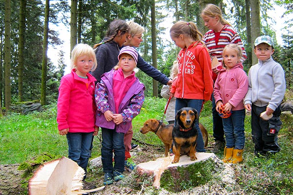 Spielerisch den Wald entdecken