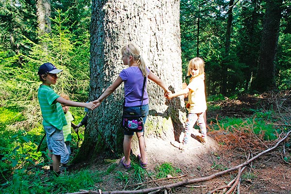 Mal schauen, wie dick der Baum ist