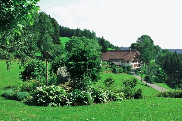Idyllische Plätzchen finden Sie rund um den Hof