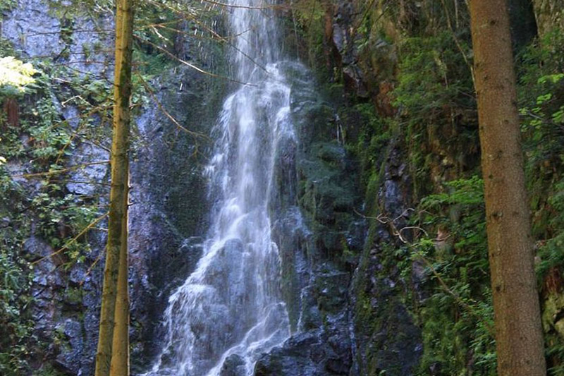 Burgbachwasserfall Schapbach